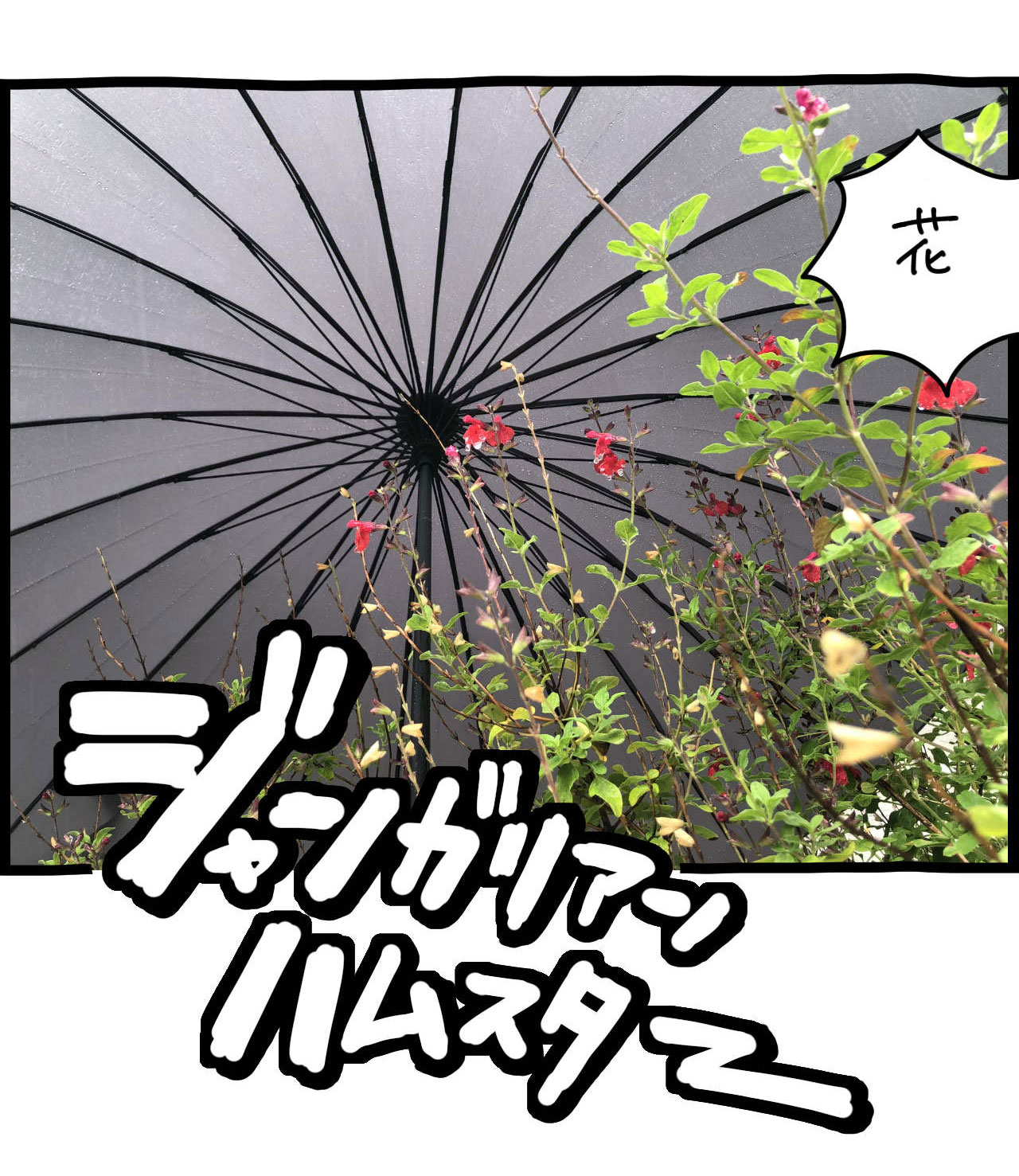 イラスト3_04.jpg