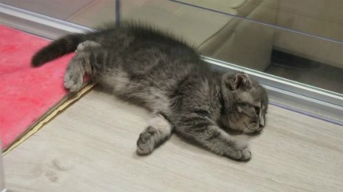 17796735_1929176490660110_205127837