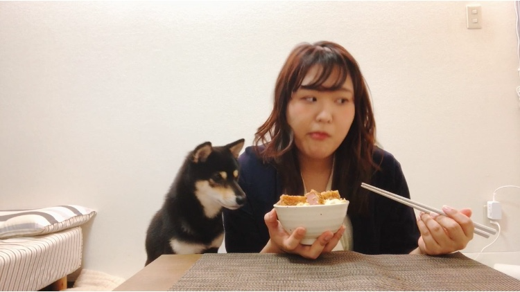 hamkatsu_10.PNG