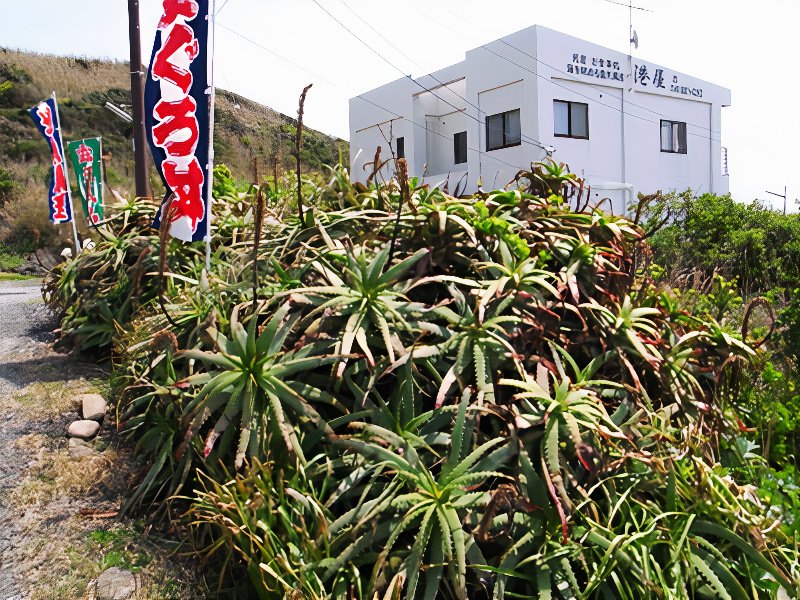 R0019747_photos_v2_x2.jpg