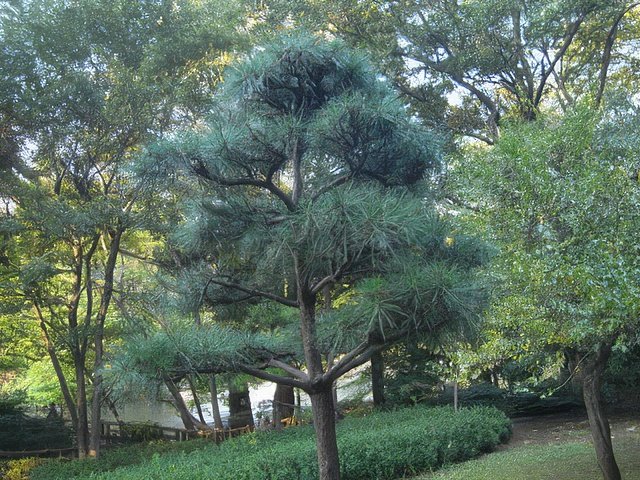 RIMG9964-topaz-standard v2-640w.jpg