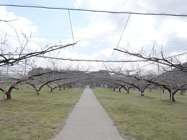 RIMG12130-topaz-low resolution-640w.jpg