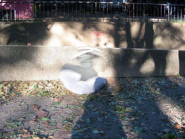 IMG_3041-topaz-standard v2-2x.jpg