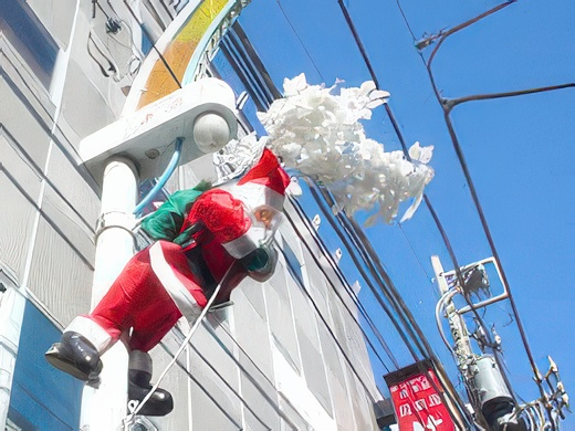 dpztop-topaz-standard v2-2x.jpg