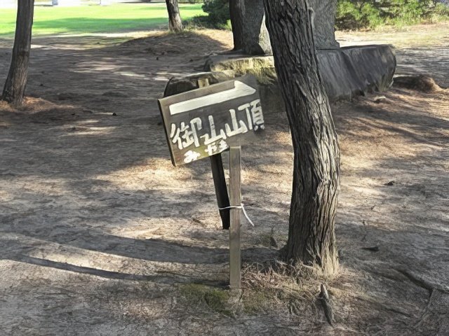 RIMG10164-topaz-low resolution-640w.jpg