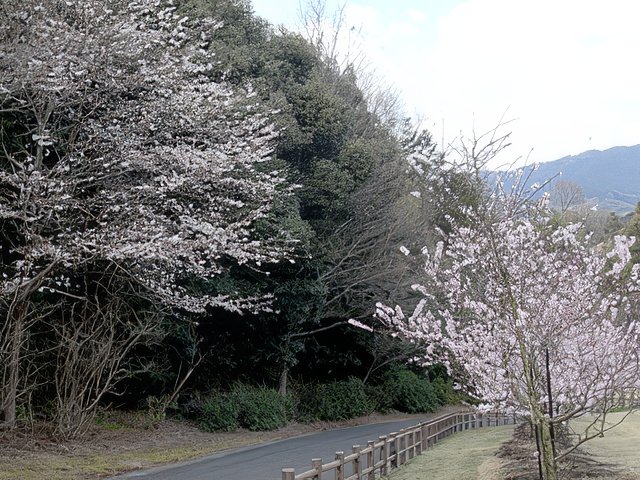 RIMG12098-topaz-standard v2-640w.jpg