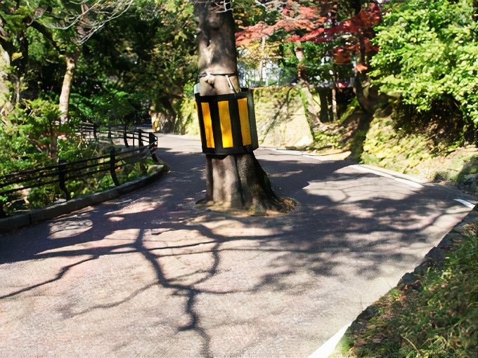 no1_photos_v2_x2.jpg