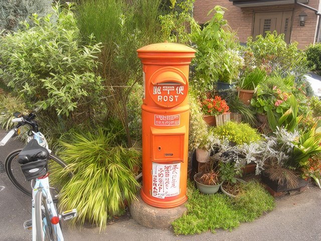 RIMG9269-topaz-standard v2-640w.jpg