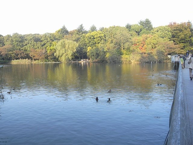 RIMG9966-topaz-standard v2-640w.jpg