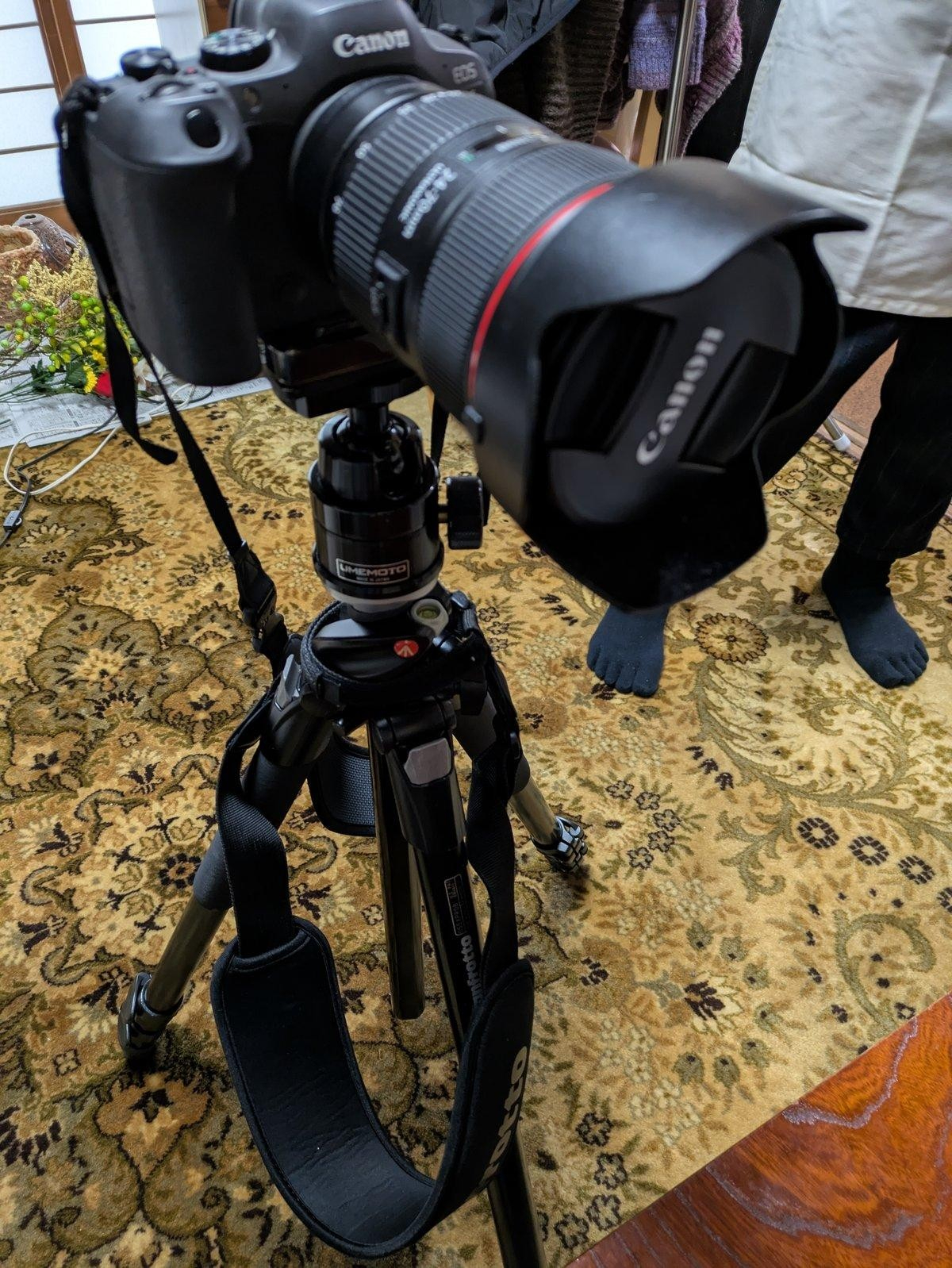 image_s037.jpg
