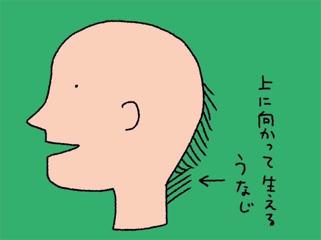 01.jpg