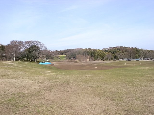 001-topaz-low resolution-640w.jpg