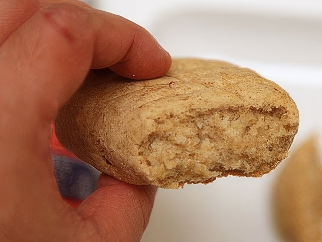 IMG_8812-topaz-standard v2-640w.jpeg