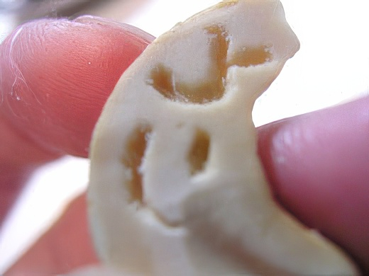 RIMG3443-topaz-standard v2-2x.jpg