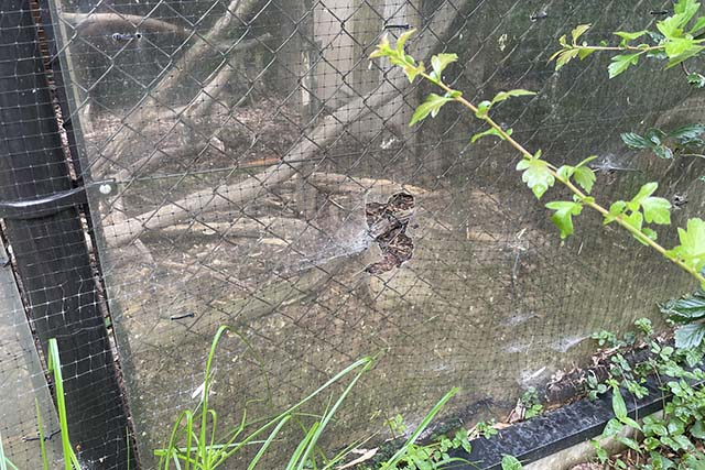 写真 2021-06-06 12 50 59.jpg