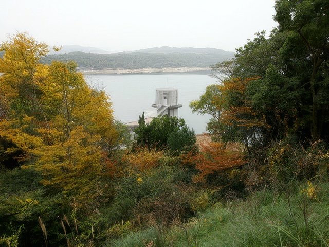 035-topaz-standard v2-640w.jpg