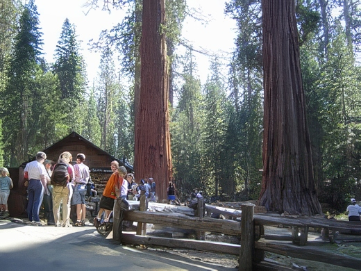 04-topaz-standard v2-2x.jpg