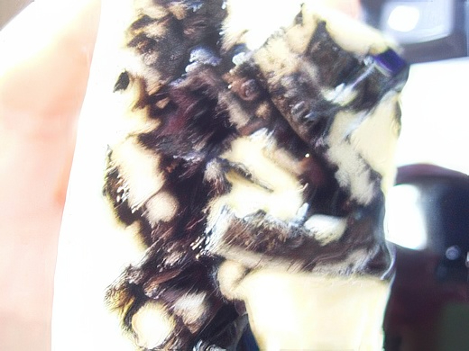 RIMG3454-topaz-standard v2-2x.jpg