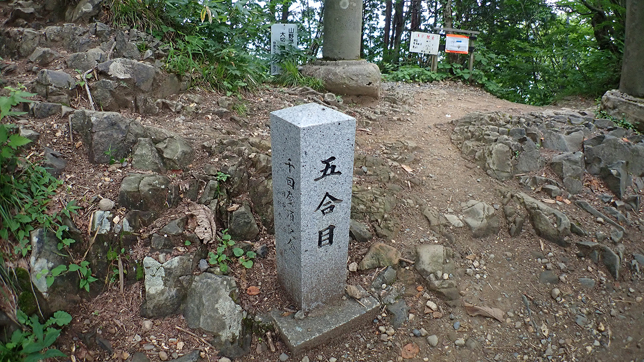 P6283050.jpg