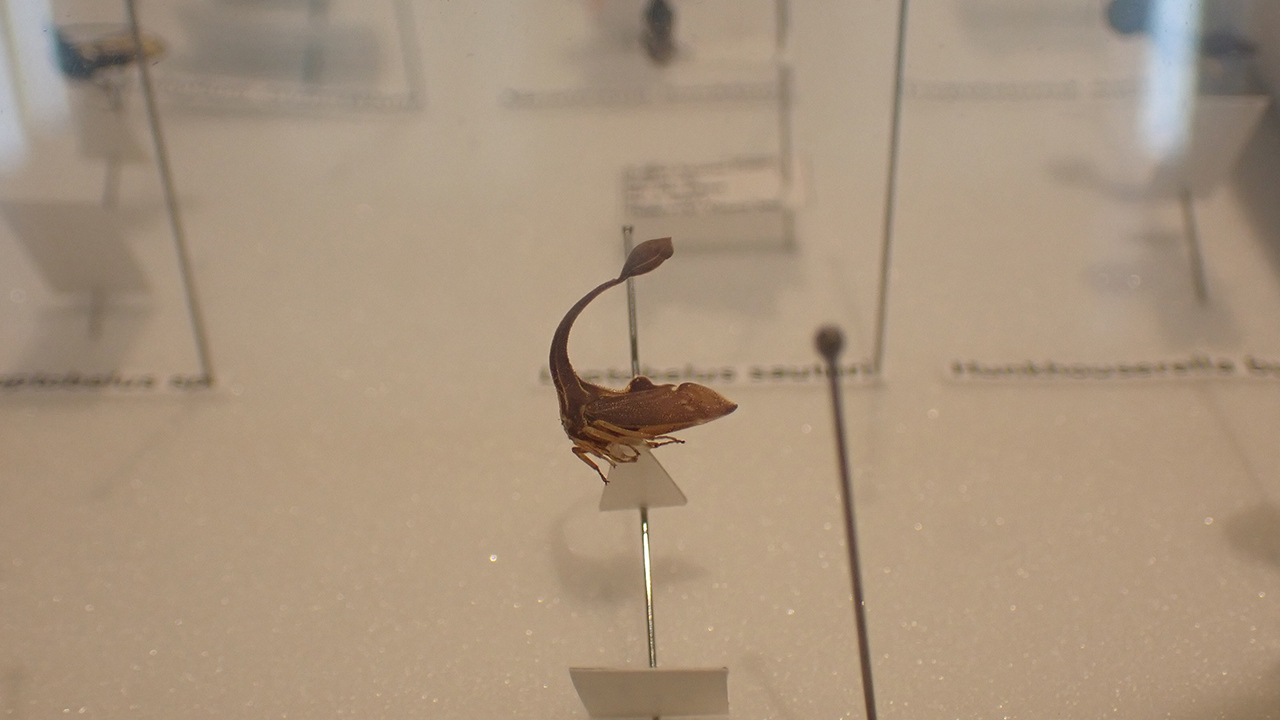 P2252073.jpg