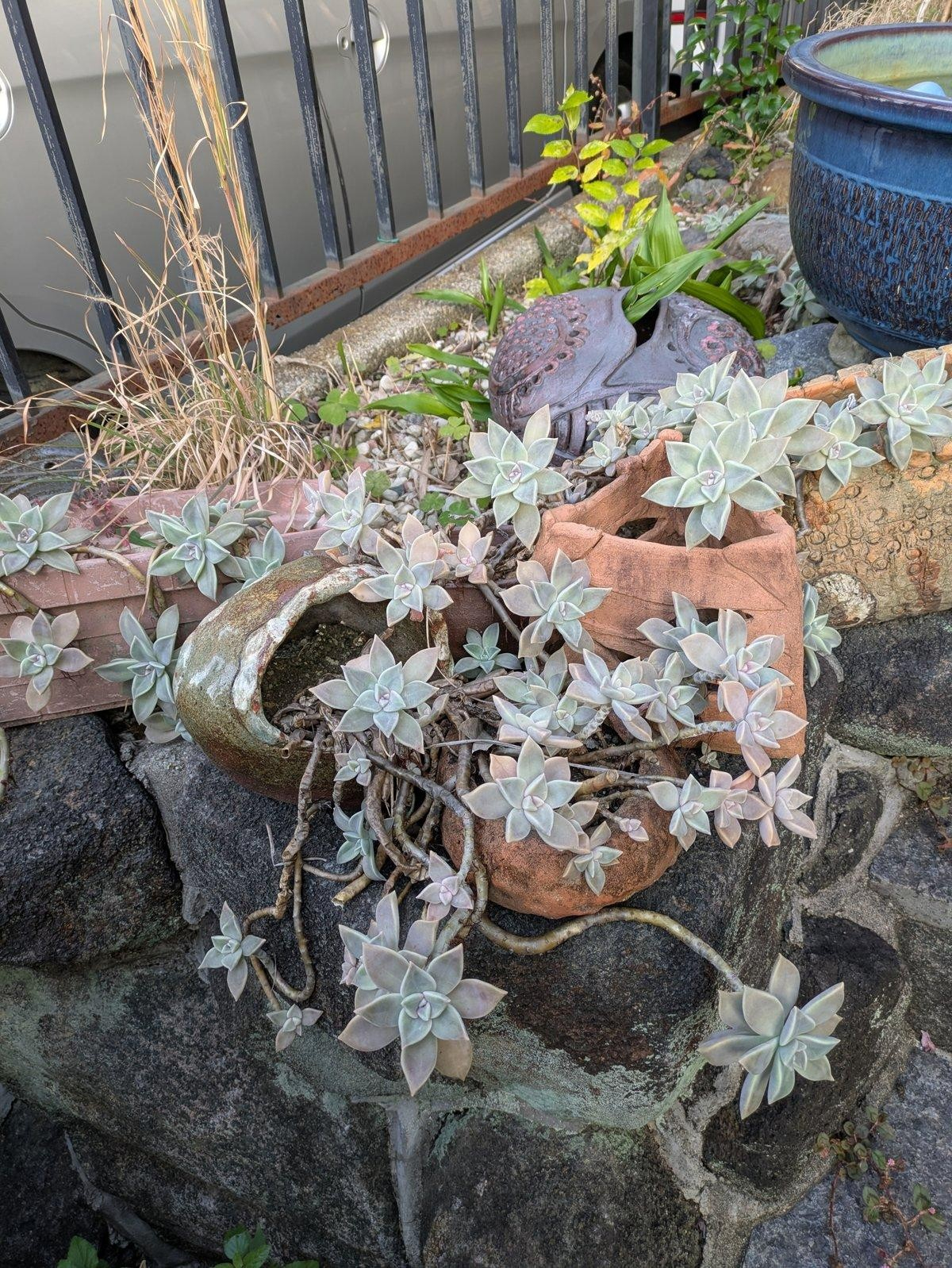 image_s009.jpg