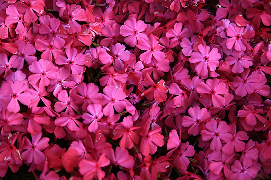 IMG_8758_photos_v2_x2.jpg