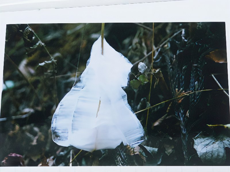 40_photos_v2_x2.jpg