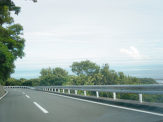 028-topaz-standard v2-2x.jpg