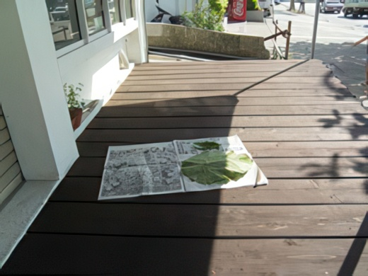 RIMG2535-topaz-low resolution v2-2x.jpg