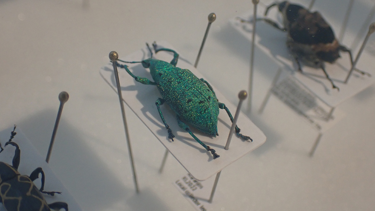 P2252033.jpg