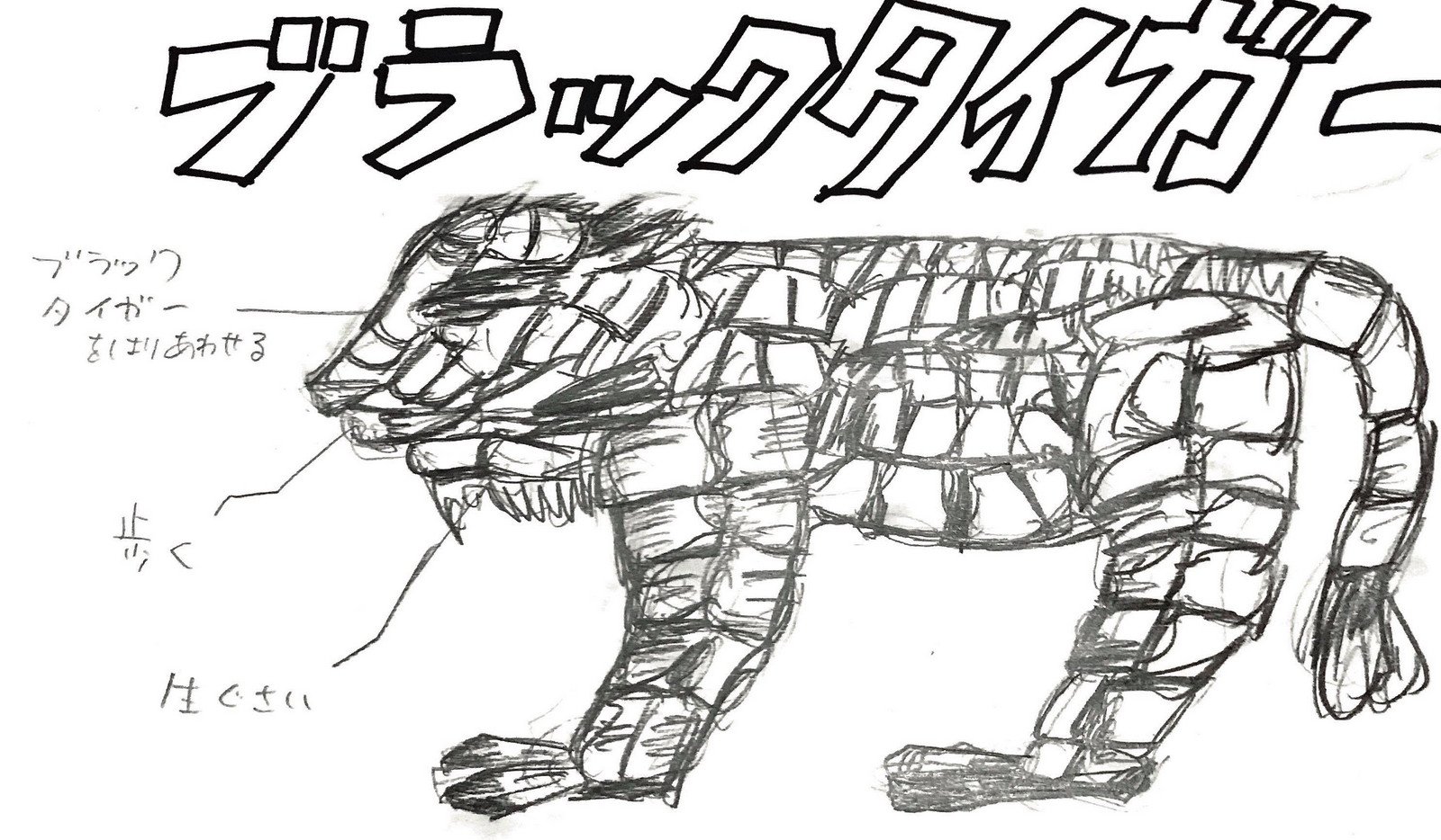 27046617_1752625184808741_6773989_2