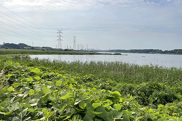 写真 2021-06-07 16 01 59.jpg