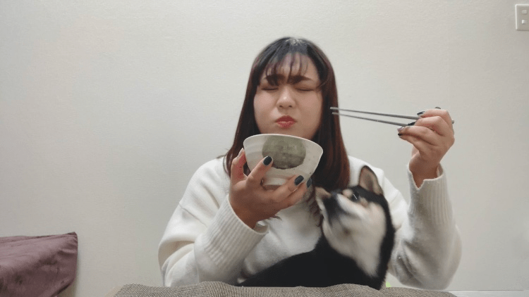 hotate_09.PNG