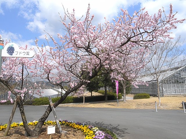 RIMG12088-topaz-standard v2-640w.jpg