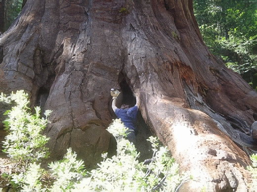 01-topaz-standard v2-2x.jpg