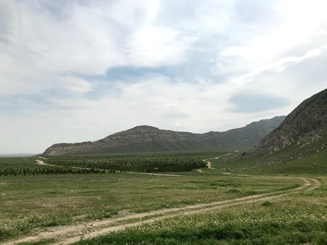 010.jpg