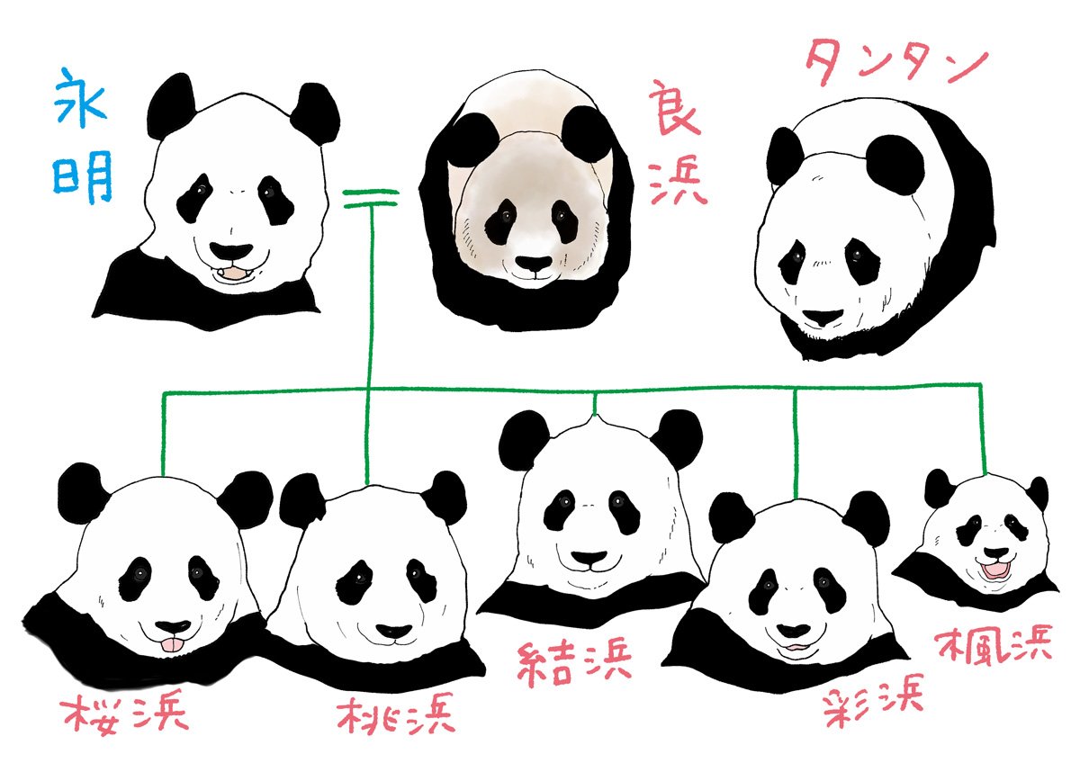 和歌山など.jpg