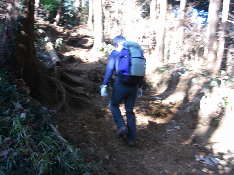 30_photos_v2_x2.jpg