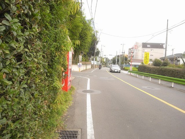 RIMG9290-topaz-standard v2-640w.jpg