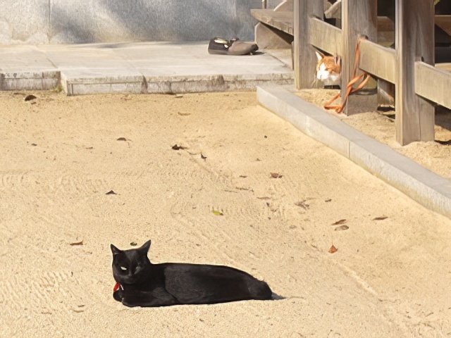 RIMG10200-topaz-low resolution-640w.jpg