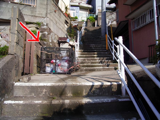 gomi2_photos_v2_x2.jpg