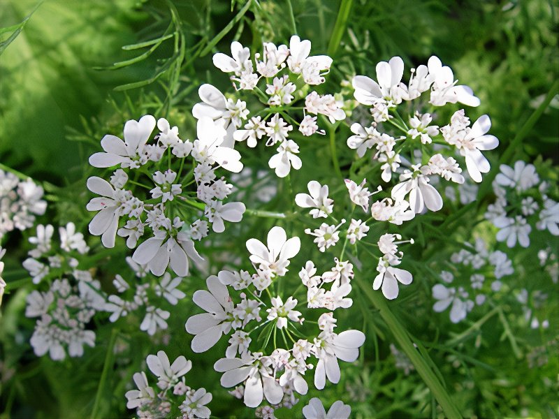 2007-06-20-268_photos_v2_x2.jpg