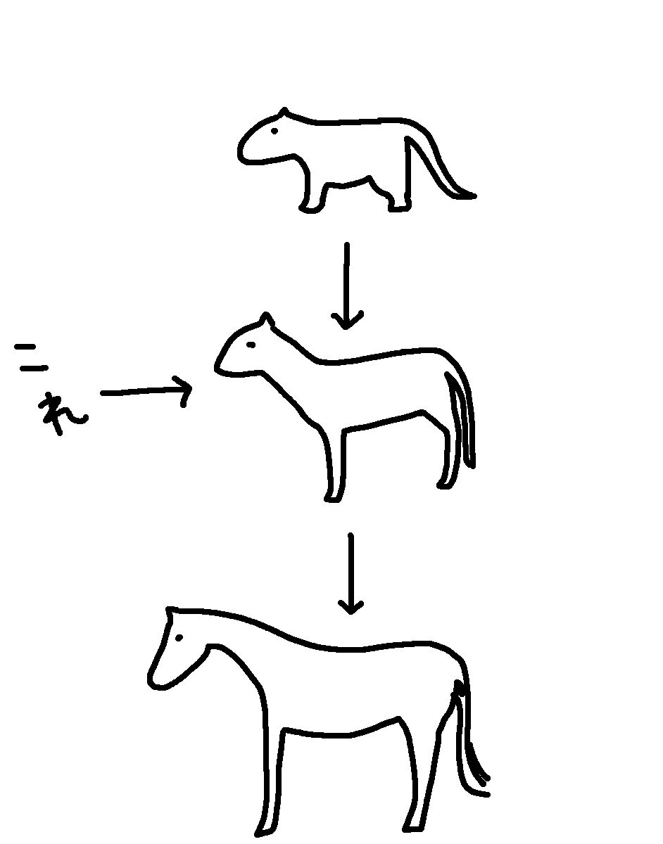 image6.jpg