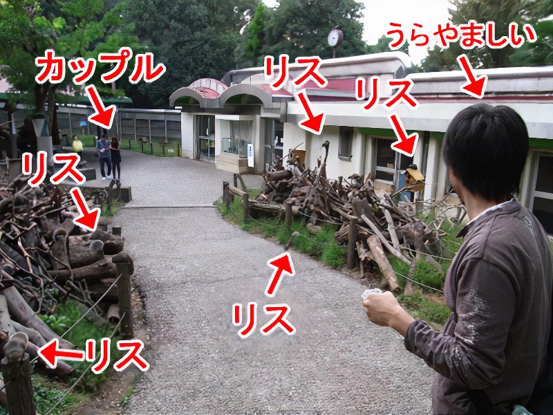 22_photos_v2_x2.jpg