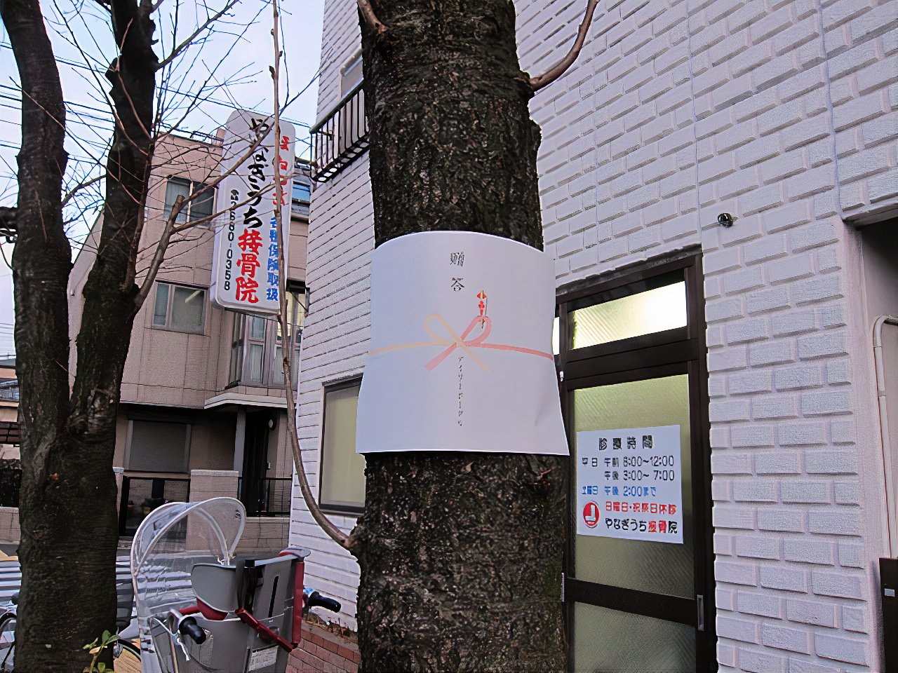 IMG_0556_photos_v2_x2.jpg