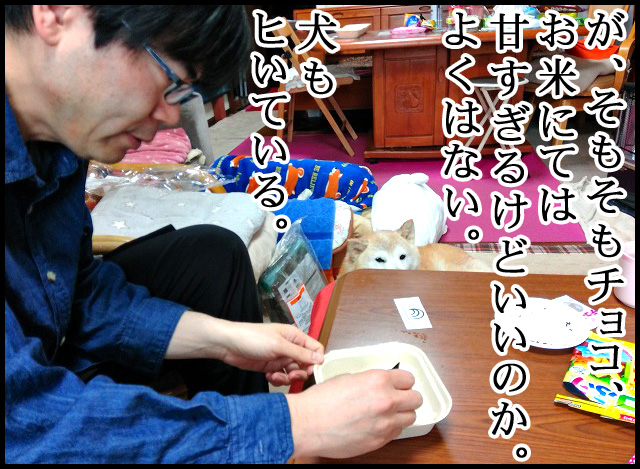 d02.jpg