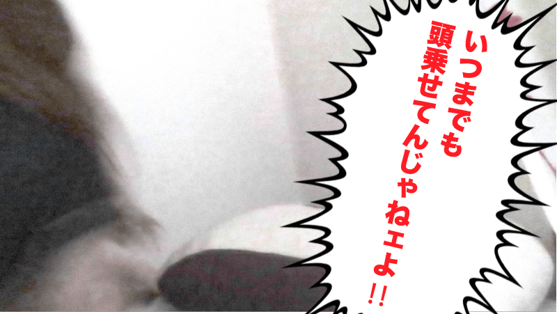 DPZふとん罵倒-11.png