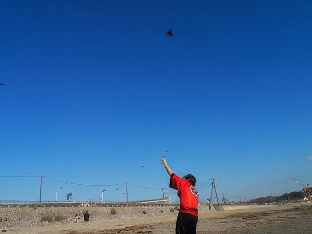 042-topaz-standard v2-640w.jpg