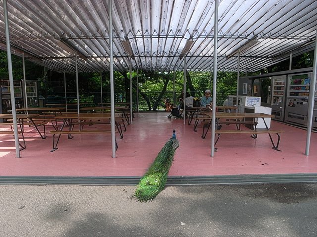 026-topaz-standard v2-640w.jpg