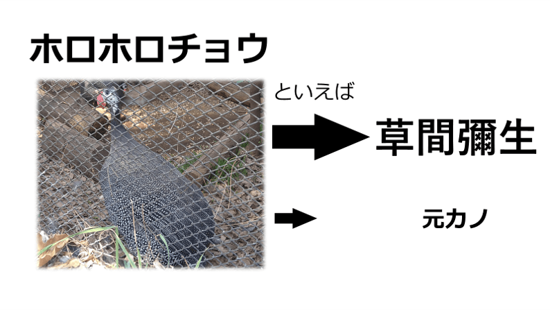 022_まとめ画像.png